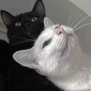 日韩家族强奸乱淫性生活影片
